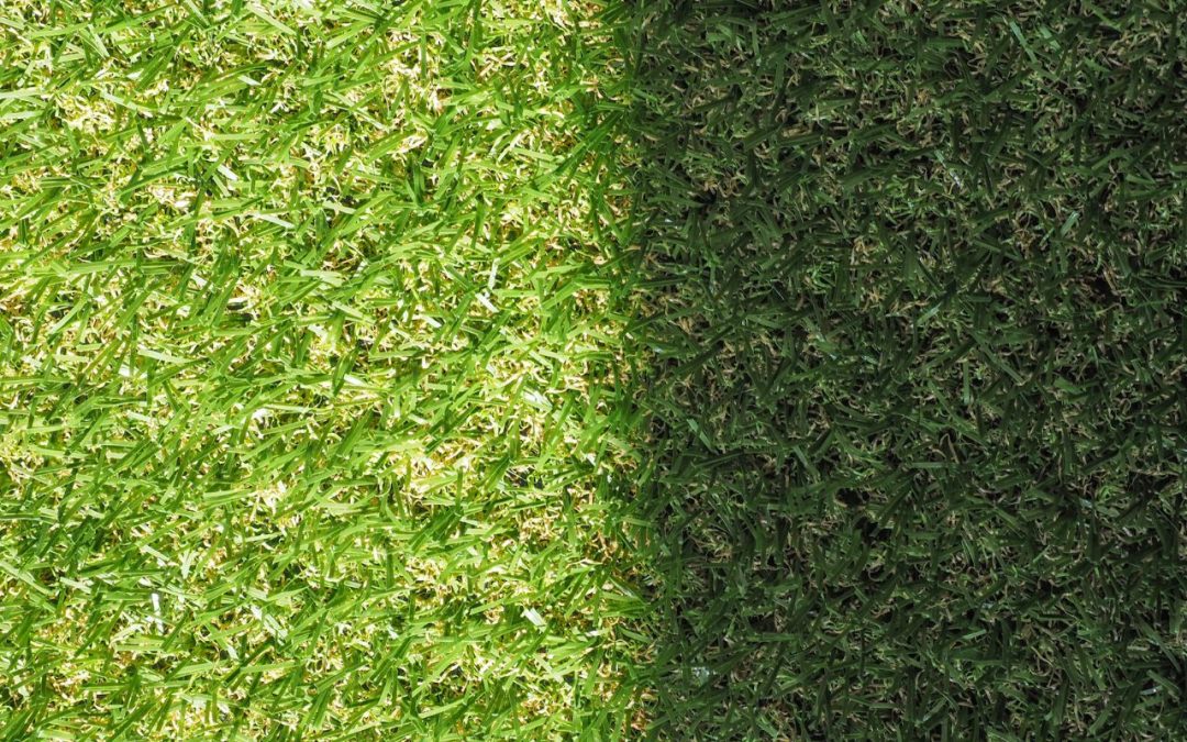 Césped Artificial VS Natural
